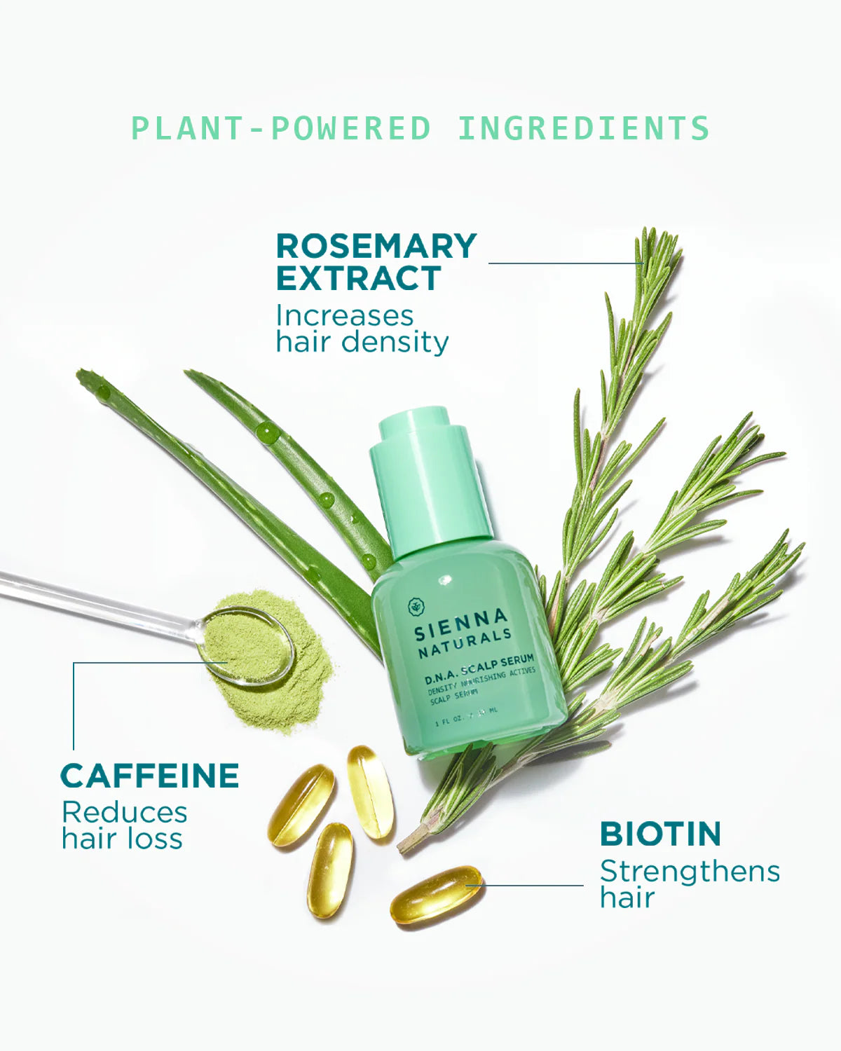 Sérum Cuir Chevelu D.N.A. Sienna Naturals – Densité & Anti-Chute (30 ml)